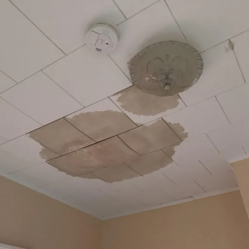 Ceiling Water Damage Repair in Northport, ME